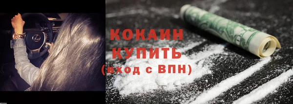 ГАЛЛЮЦИНОГЕННЫЕ ГРИБЫ Заволжье