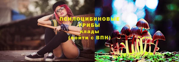 ГАЛЛЮЦИНОГЕННЫЕ ГРИБЫ Заволжье