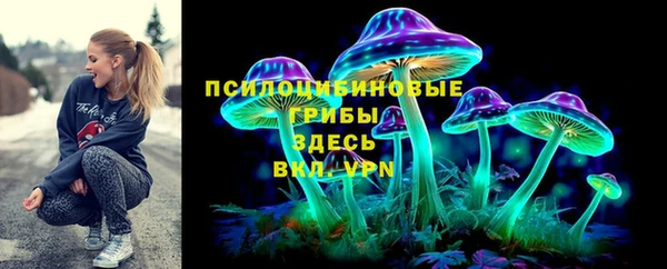 ГАЛЛЮЦИНОГЕННЫЕ ГРИБЫ Заволжье