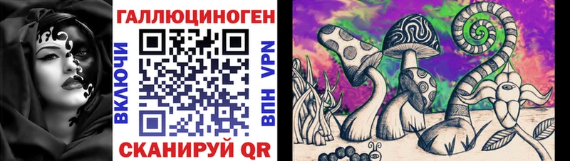 Купить где  Усть-Илимск  Псилоцибиновые грибы мицелий 